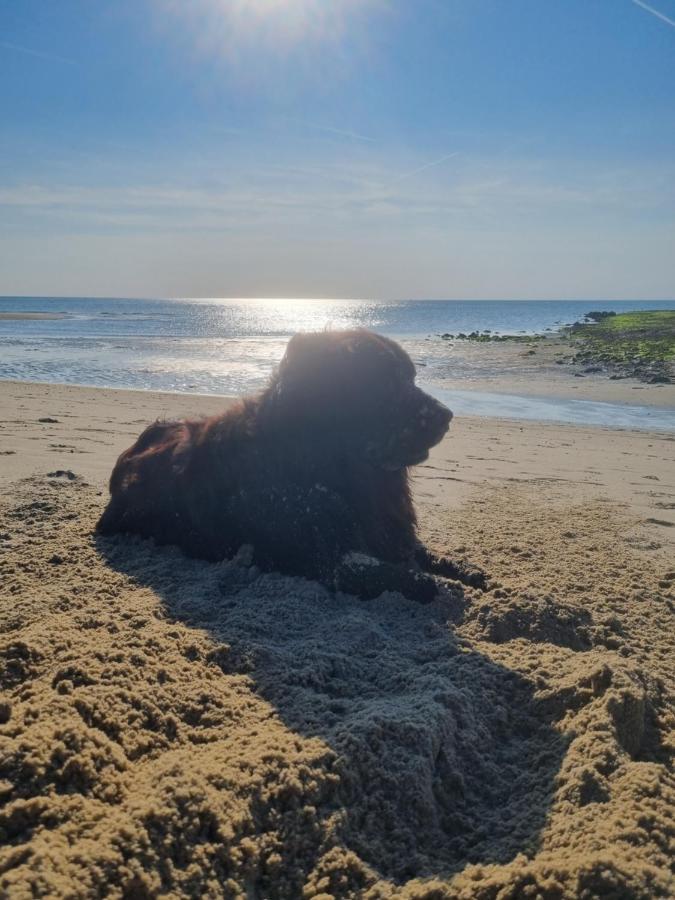 Meerblick Wattenmeer ,50M Vom Meer,Strand 300M Westerland Экстерьер фото