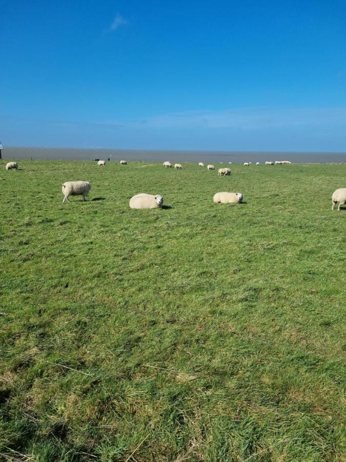 Meerblick Wattenmeer ,50M Vom Meer,Strand 300M Westerland Экстерьер фото